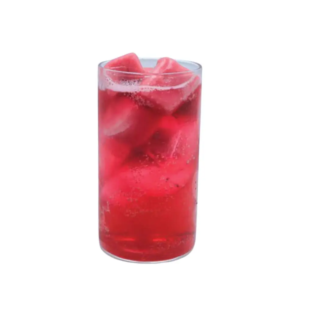 Pomegranate Mojito